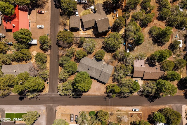 261 S 5th Pl, Show Low, AZ 85901 - aerial view