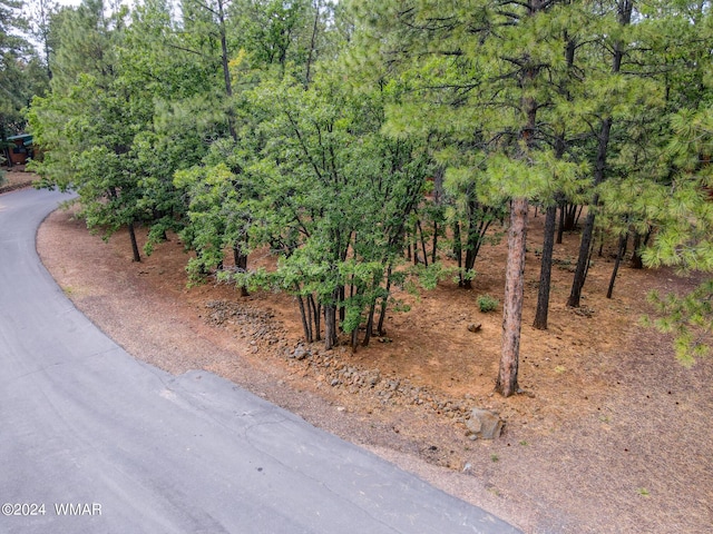 Listing photo 3 for 4063 Bridle Path Cir, Pinetop AZ 85935