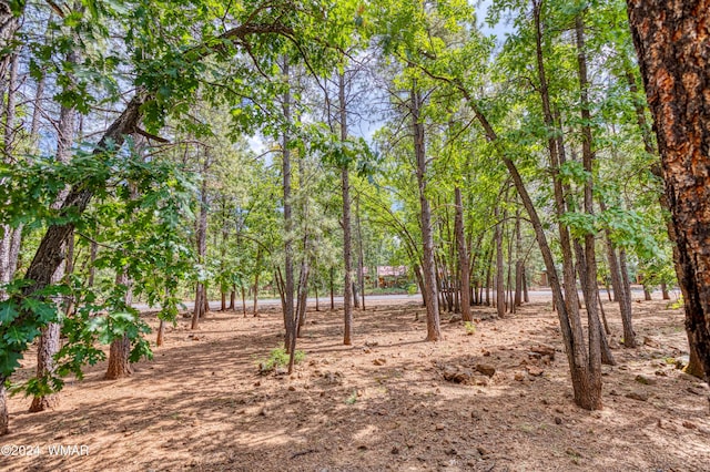 4063 Bridle Path Cir, Pinetop AZ, 85935 land for sale