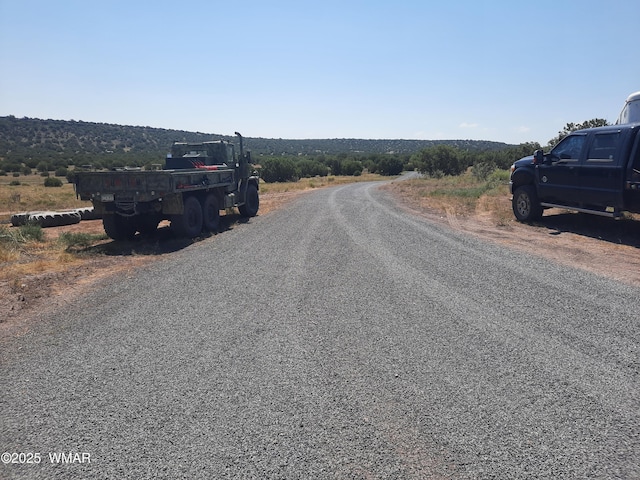 9952 S Buffalo Ridge Dr, Show Low, AZ 85901 - view of asphalt road