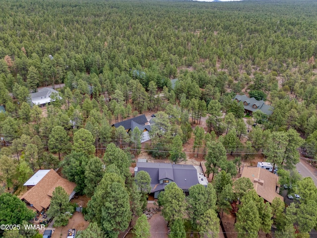 124 W Long Leaf Dr, Lakeside, AZ 85929 - photo 38