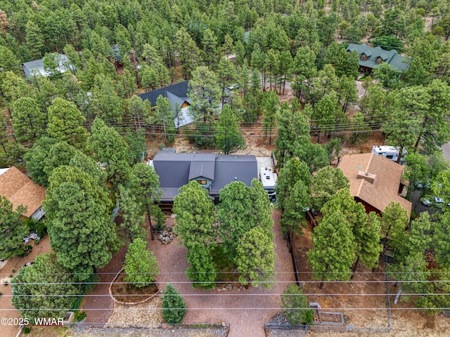 124 W Long Leaf Dr, Lakeside, AZ 85929 - photo 37