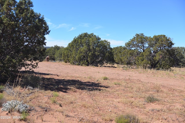 4199 S Pinto Rd, Snowflake AZ, 85937 land for sale