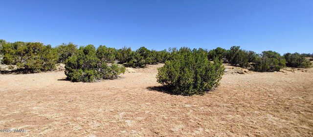 9182 Texas Ln, Show Low, AZ 85901 - photo 9