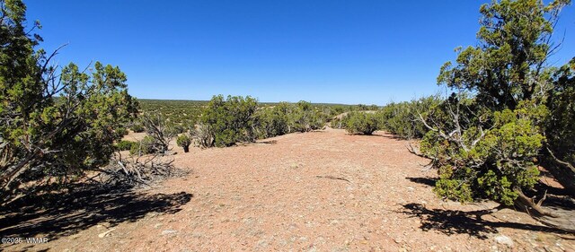 9182 Texas Ln, Show Low, AZ 85901 - photo 7