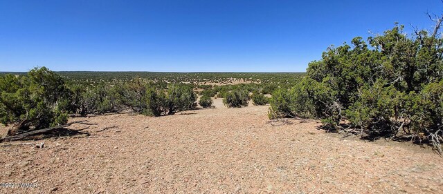 9182 Texas Ln, Show Low, AZ 85901 - photo 6