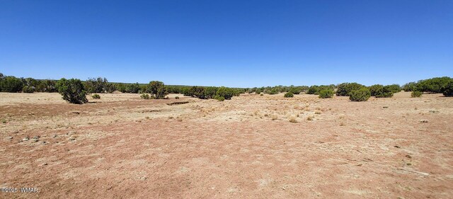9182 Texas Ln, Show Low, AZ 85901 - photo 5