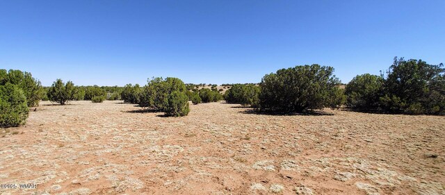 9182 Texas Ln, Show Low, AZ 85901 - photo 10