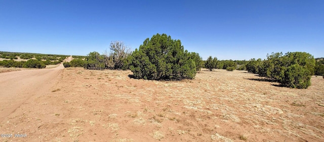 9182 Texas Ln, Show Low, AZ 85901 - photo 1