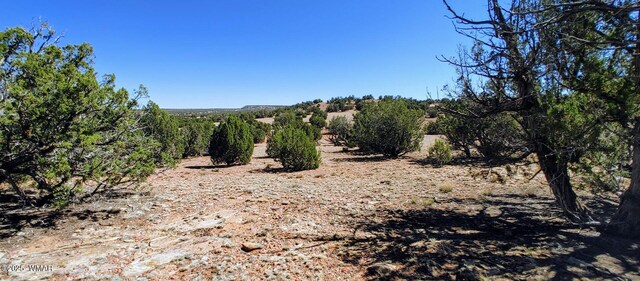 9182 Texas Ln, Show Low, AZ 85901 - photo 8