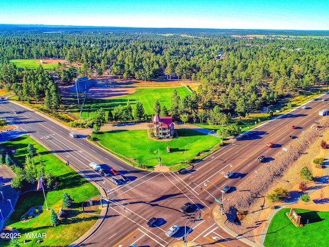 aerial view with a forest view