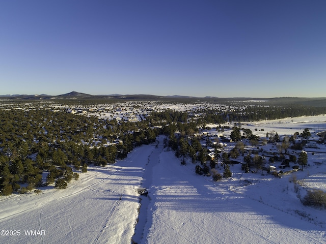 snowy aerial view with a mountain view