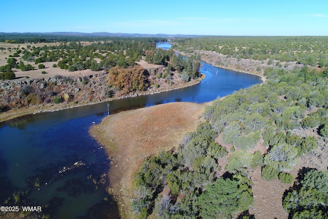 aerial view featuring a forest view and a water view