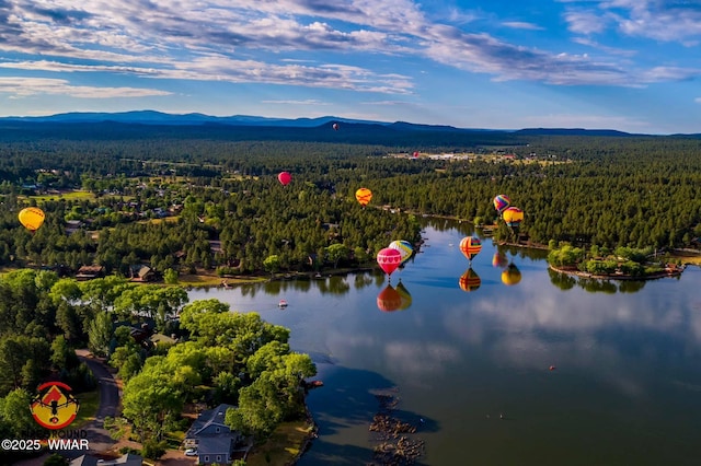 bird's eye view featuring a water and mountain view and a wooded view