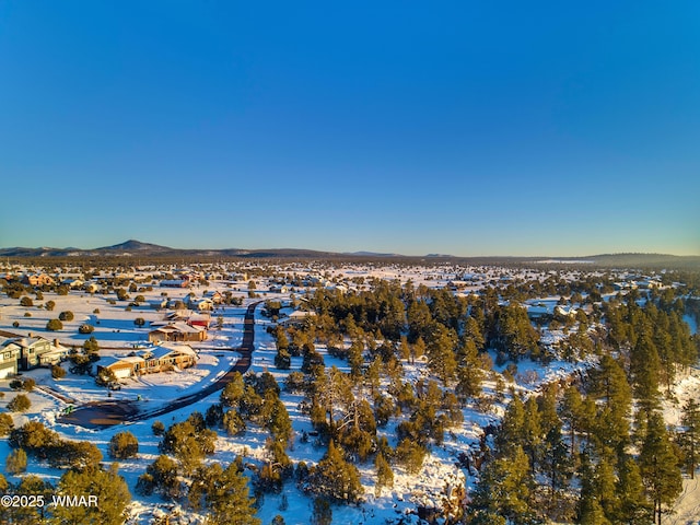 aerial view featuring a mountain view