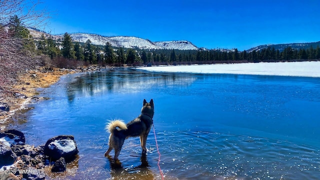 water view with a forest view and a mountain view