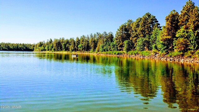 property view of water featuring a forest view