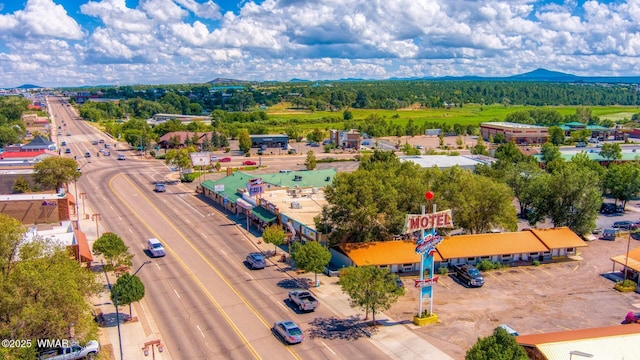 bird's eye view