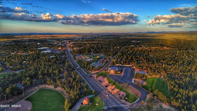 drone / aerial view with a mountain view