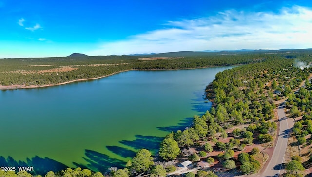 drone / aerial view with a wooded view and a water and mountain view