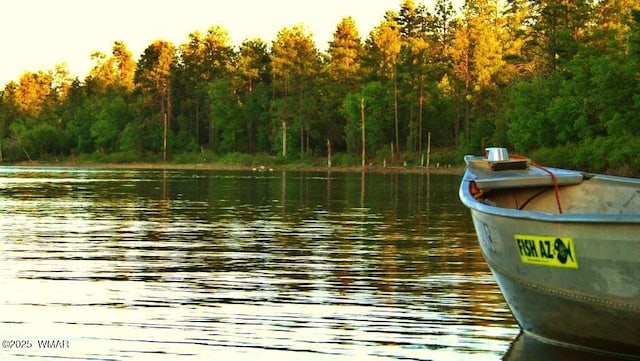 dock area featuring a forest view and a water view