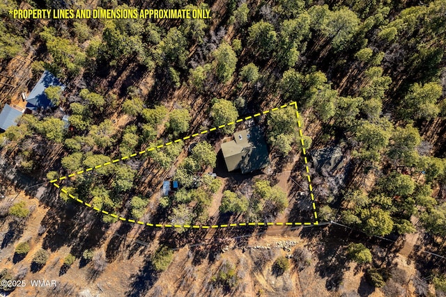 4584 Cub Lake Rd, Show Low, AZ 85901 - aerial overview of property's location featuring property boundaries highlighted