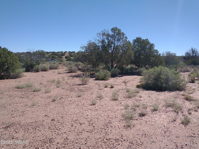 4253 Indian Bend Rd, Snowflake, AZ 85937 - photo 9