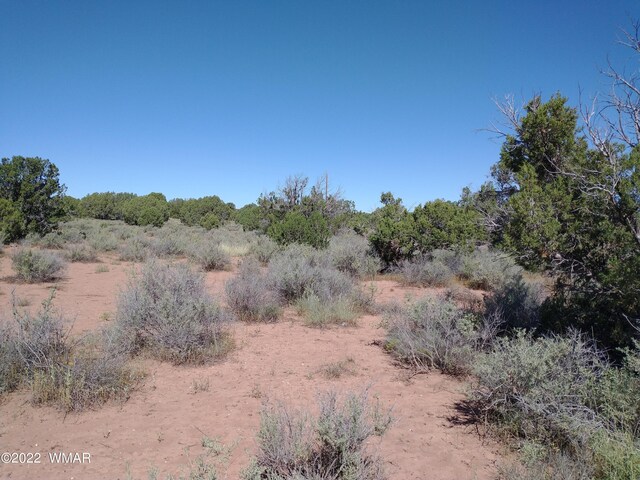 4253 Indian Bend Rd, Snowflake, AZ 85937 - photo 11
