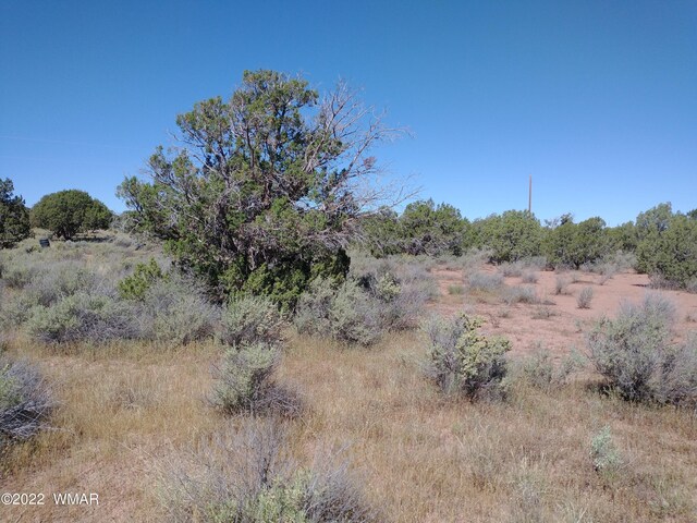 4253 Indian Bend Rd, Snowflake, AZ 85937 - photo 12
