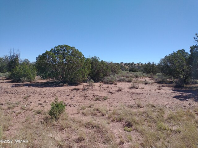 4253 Indian Bend Rd, Snowflake, AZ 85937 - photo 2