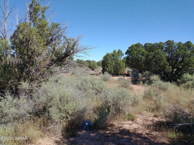 4253 Indian Bend Rd, Snowflake, AZ 85937 - photo 10
