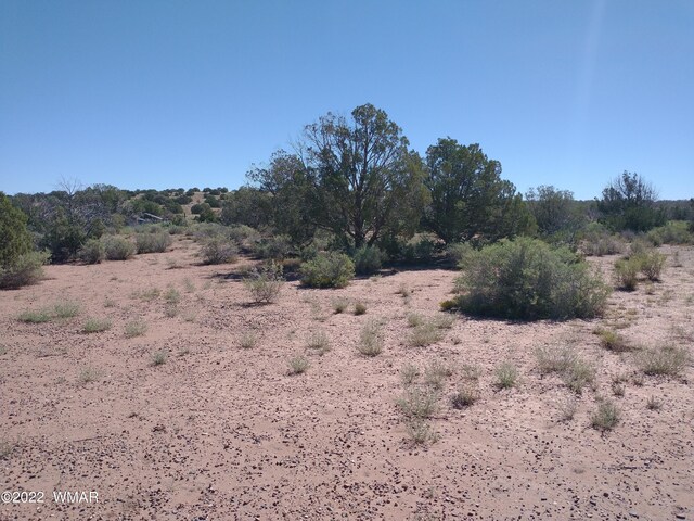 4253 Indian Bend Rd, Snowflake, AZ 85937 - photo 8