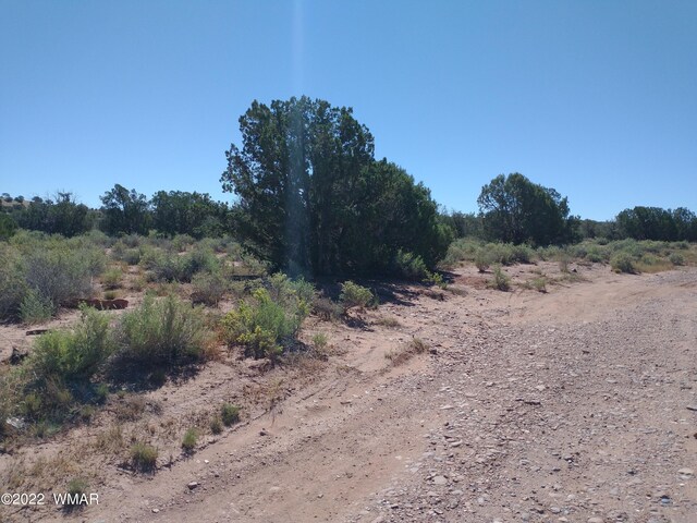 4253 Indian Bend Rd, Snowflake, AZ 85937 - photo 13