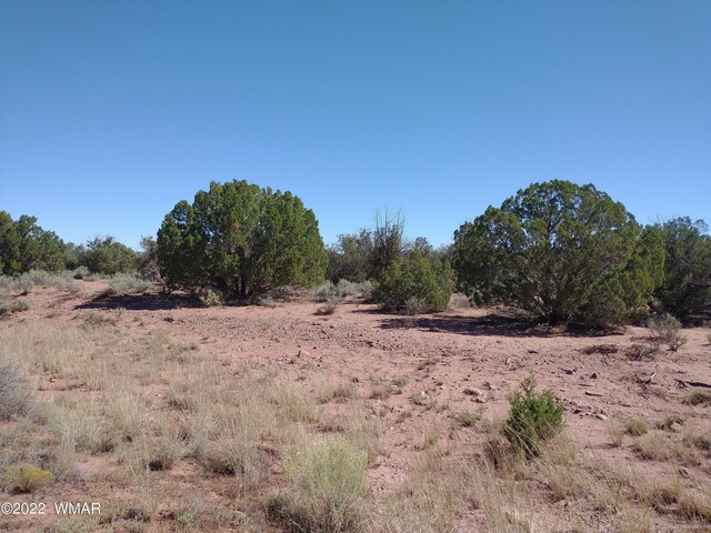 4253 Indian Bend Rd, Snowflake, AZ 85937 - photo 3