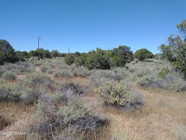 4253 Indian Bend Rd, Snowflake, AZ 85937 - photo 14