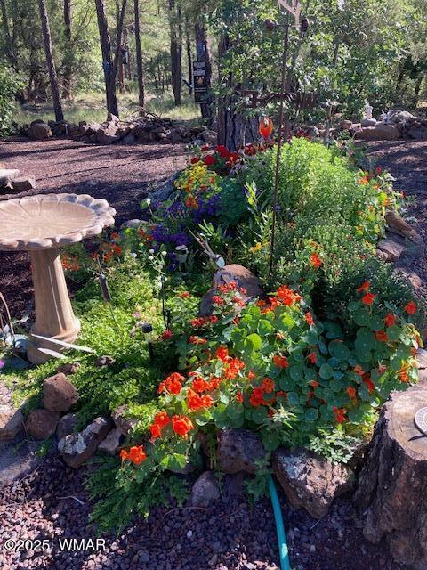 2889 Jacks Rd, Lakeside, AZ 85929 - photo 59