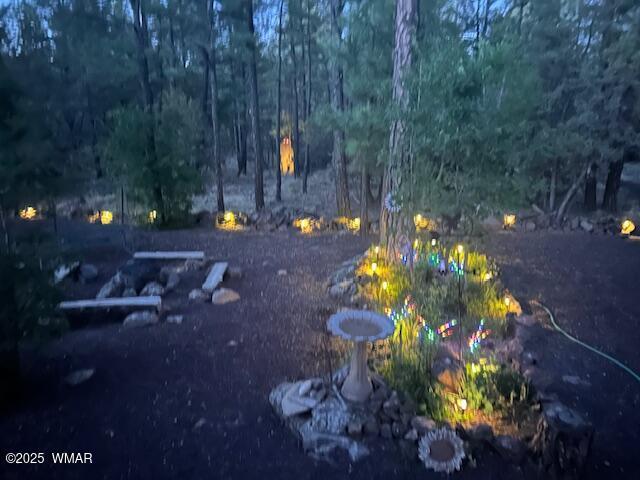 2889 Jacks Rd, Lakeside, AZ 85929 - photo 42