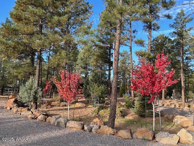 2889 Jacks Rd, Lakeside, AZ 85929 - photo 12