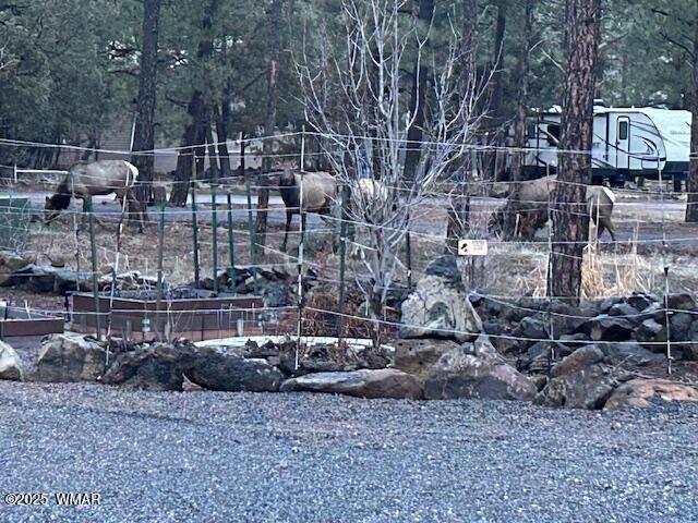 2889 Jacks Rd, Lakeside, AZ 85929 - photo 44