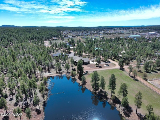 2889 Jacks Rd, Lakeside, AZ 85929 - photo 2