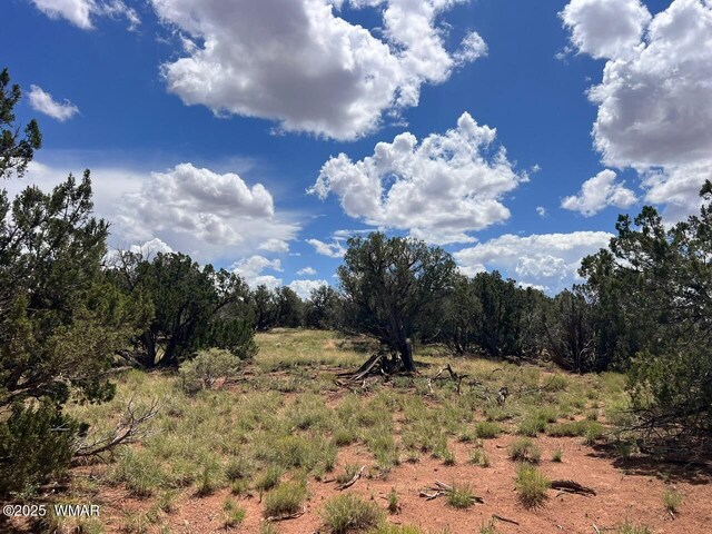4301 Colt Rd, Snowflake, AZ 85937 - photo 6