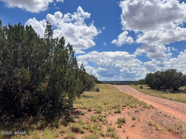 4301 Colt Rd, Snowflake, AZ 85937 - photo 5