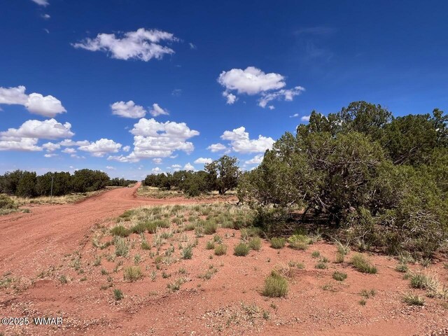 4301 Colt Rd, Snowflake, AZ 85937 - photo 3