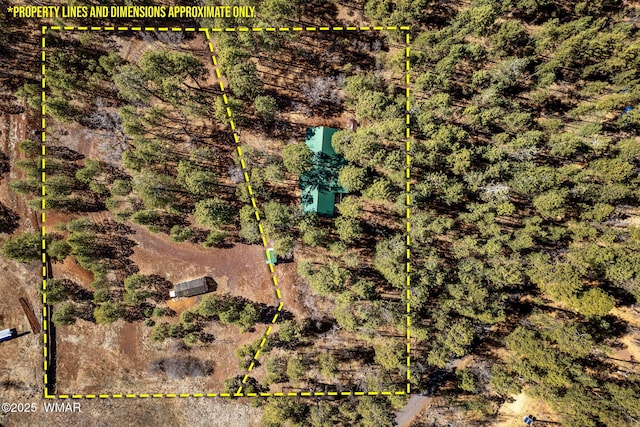 1825 E Woodchuck Ln, Pinetop, AZ 85935 - bird's eye view