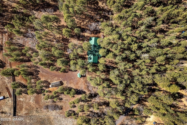 1825 E Woodchuck Ln, Pinetop, AZ 85935 - drone / aerial view