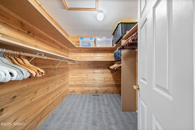 1825 E Woodchuck Ln, Pinetop, AZ 85935 - spacious closet with carpet