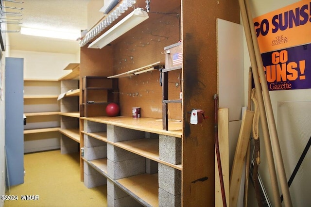 view of storage room