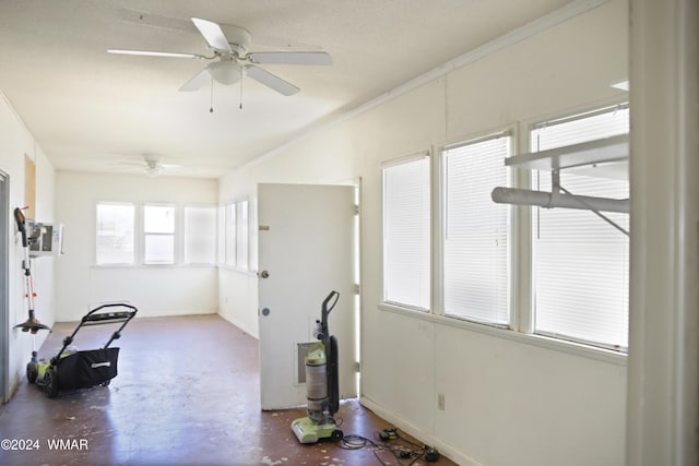 workout area featuring a ceiling fan and crown molding