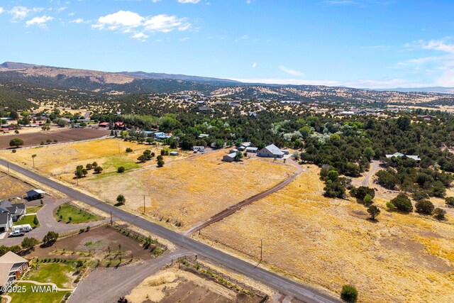 908 S Amity Ln, Eagar, AZ 85925 - photo 44