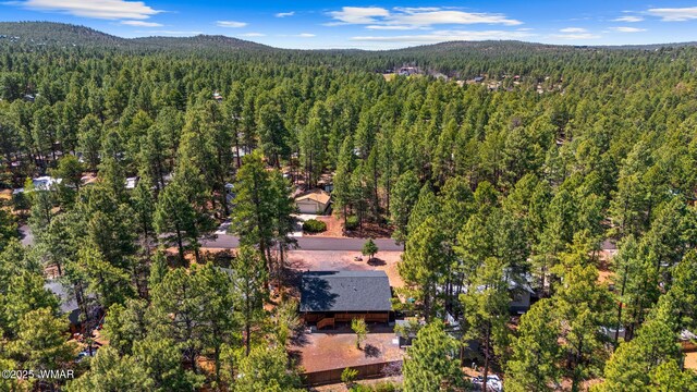 2180 W Stratton, Show Low, AZ 85901 - photo 22